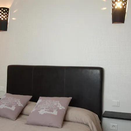 酒店 尚嘉中心酒店 桑特