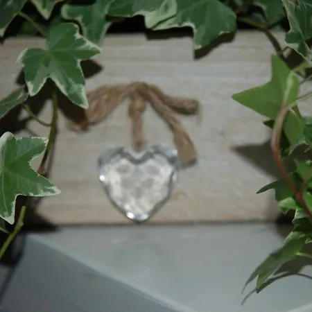 酒店 尚嘉中心酒店 2*